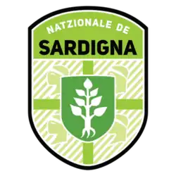 Shirt badge/Association crest