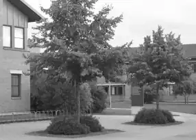 Scale-space representation '"`UNIQ--postMath-0000001C-QINU`"' at scale '"`UNIQ--postMath-0000001D-QINU`"', corresponding to the original image '"`UNIQ--postMath-0000001E-QINU`"'