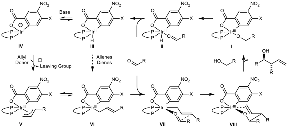 Catalytic cycle 1-2
