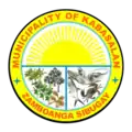 Official seal of Kabasalan