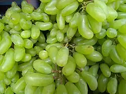 seedless grapes