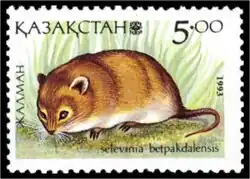 Brown and white dormouse on stamp