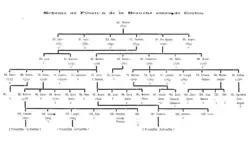 Senior Corfiote branch, published in Livre d'Or de la Noblesse Ionienne (1925).[42]