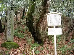 Shidami Kofun group