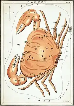 Plate 19: Cancer