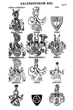 Counts von Pranckh zu Pux coat of arms (Siebmacher's Roll of Arms of Salzburg Nobility, 1883)