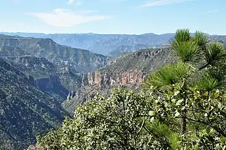 The Sierra Madre Occidental