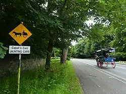 A traffic sign warning of jaunting cars in Killarney