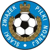 Shirt badge/Association crest