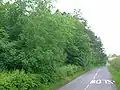 Silverwood Road looking towards Kilmarnock.