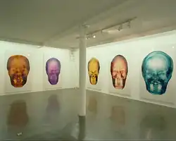 Installation view of Celebrity Skull Portraits