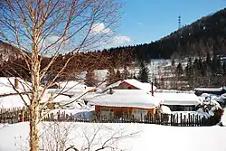 Hailin in the winter time