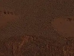 Figure 3. This image is a detail of Figure 2. It covers a middle-ground portion of Figure 2 where the airbag compacted soils meet undisturbed soils covered in the grey spherules. Click the image to enlarge it for a better resolution of the grey spherules. Image taken on Sol 1 (2004-01-24).