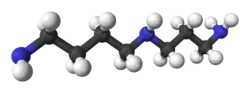 Ball and stick model of spermidine