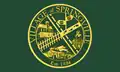 Flag of Springville, New York