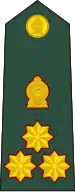 Brigadier (Sri Lanka Army)[25]