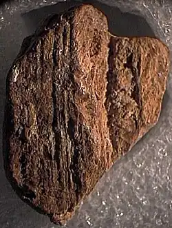 Same stamped bulla (~12&nbsp;mm long) showing ridges on cord side indicating papyrus document