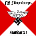 NSFK Standartenführer