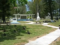 Memorial signs with nesting albatrosses and a statue of a large albatross