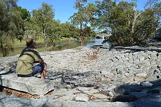 Steerage (1997) by Jill Peck