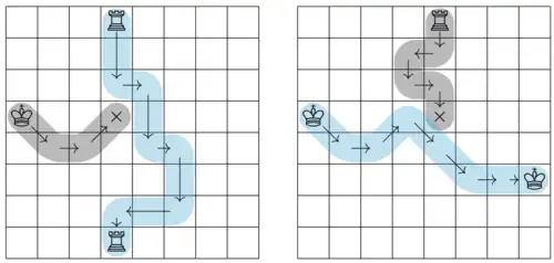 Illustration of the Steinhaus Chessboard Theorem