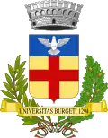 Coat of arms of Borghetto Santo Spirito