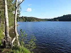 Stora Delsjön from the Stora Torps tånge promontory, direction S, July 9, 2020.