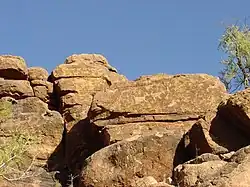 Engravings of animals and people adorn the vertical face of a rock formation.