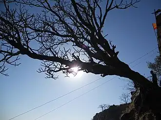 Sunshine on the fort