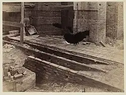 Guastavino tile vaults are strong enough to support the flooring above.