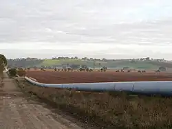 The Swan Reach to Stockwell Pipeline at Moculta, South Australia.