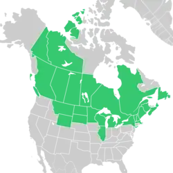 Symphyotrichum ciliolatum native distribution map: Canada — Alberta, British Columbia, Manitoba, New Brunswick, Newfoundland, Northwest Territories, Nova Scotia, Ontario, Québec, Saskatchewan, and Yukon; US — Illinois, Maine, Massachusetts, Michigan, Minnesota, Montana, New Hampshire, New York, North Dakota, South Dakota, Vermont, Wisconsin, and Wyoming.
