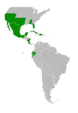 Map of the Americas from the United States southward with the following countries and states colored green to represent the native distribution of this species: USA (Alabama, Arizona, California, Florida, Nevada, New Mexico, Oklahoma, Texas, Utah); Costa Rica; Belize; Cuba; Ecuador; Mexico (Aguascalientes, Baja California Norte, Baja California Sur, Campeche, Chiapas, Chihuahua, Coahuila, Colima, Ciudad de Mexico, Durango, Guanajuato, Guerrero, Hidalgo, Jalisco, México State, Michoacan, Morelos, Nayarit, Nuevo Leon, Oaxaca, Puebla, Queretaro, Quintana Roo, San Luis Potosi, Sinaloa, Sonora, Tabasco, Tamaulipas, Tlaxcala, Veracruz, Yucatan, Zacatecas); Belize; Nicaragua; Haiti; Dominican Republic.