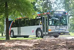 A bus with a bicycle rack, behind a tree