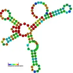 TLS-PK3: Secondary structure taken from the Rfam database. Family RF01084. Derived from Pseudobase PKB00134 PKB00136 PKB00137.