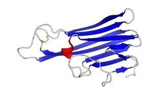Render of structure of a single TNF monomer.
