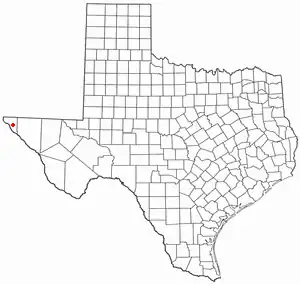 Location of Horizon City, Texas
