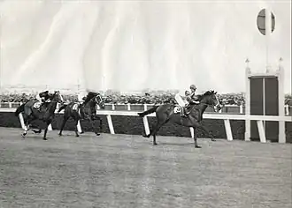 Talking, 1936 winner