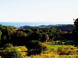 Canet des de els Tarongers