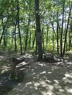 Taum Sauk summit, the highest point in Missouri