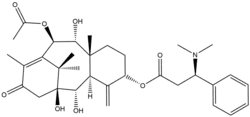 The molecular structure of taxine B