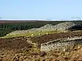 The Grey Cairns of Camster. These cairns are open to the public.