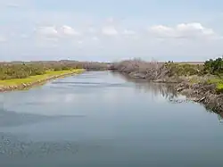 Guantánamo River near Caimanera