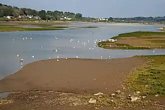 A tidal estuary at low water