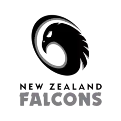 Shirt badge/Association crest