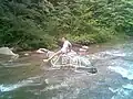 Save a Horse, Ride a Turtle, July 2008