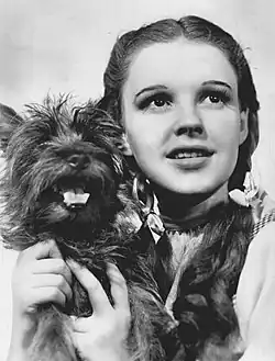 A black and white photograph at bust-length of Judy Garland as a young girl holding up a small black Cairn Terrier dog.