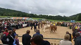 National Exposition of the Simmental Cattle and the Regional Championship of Hucul Horse.