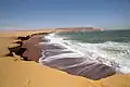 The red beach in Paracas National Reserve