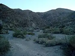 The view of Darwin Canyon from the trail head.